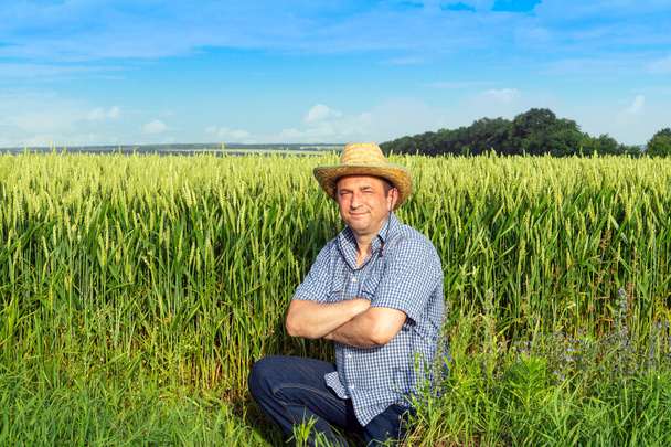 Starszy rolnik stojący na polu pszenicy badający zbiory w słoneczny dzień. Pomysł pielęgnacji plantacji. - Zdjęcie, obraz