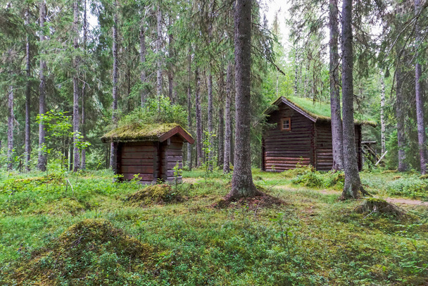 Twee kleine houten hutten met mos bedekte daken in het midden van het bos - Foto, afbeelding