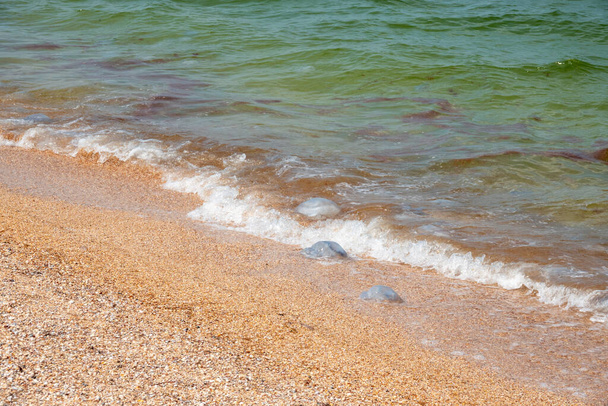 Tarde de verano en una playa del mar de Azov - Foto, Imagen