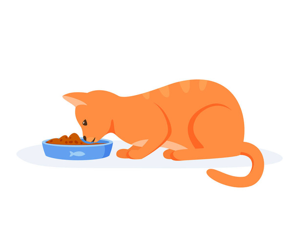 Hungry cat eating food from bowl. Red domestic cat having good appetite. Feeding pet with kibble or wet food. Flat style vector - ベクター画像
