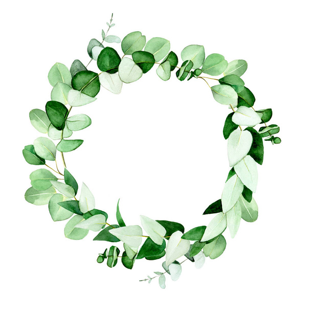 eucalyptus wreath, round frame painted in hand-drawn watercolor. clip art isolated on white background - 写真・画像