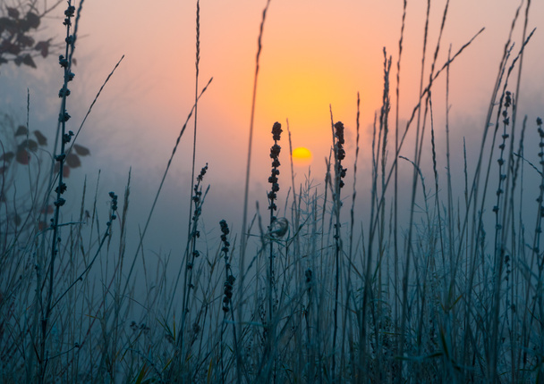Landscape of morning sunrise - Photo, Image