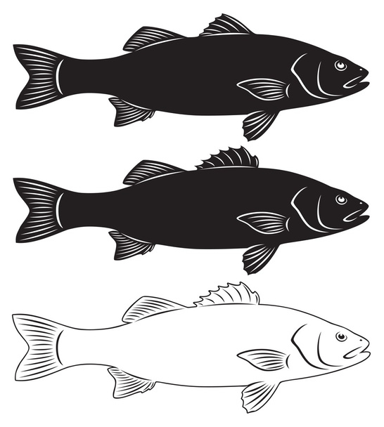 zeebaars vissen - Vector, afbeelding