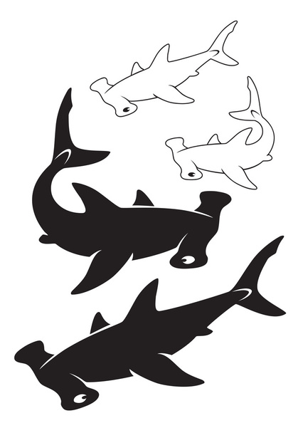 černé a bílé žraloky - Vektor, obrázek