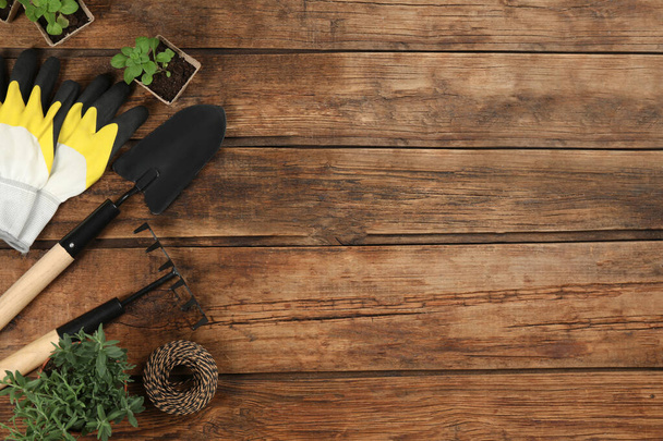 Flat lay composition with gardening tools and plants on wooden background. Space for text - Fotó, kép