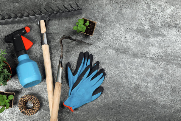 Gardening tools and plants on grey background, flat lay. Space for text - Foto, afbeelding