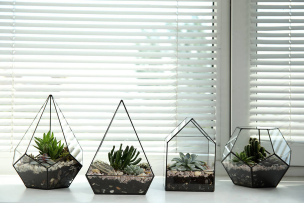 Glass florarium vases with succulents on white windowsill indoors - Φωτογραφία, εικόνα