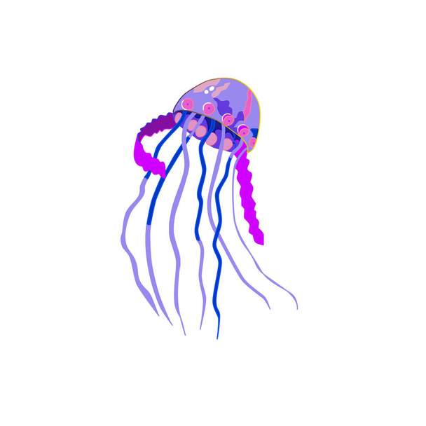 Multi-colored vector jellyfish. Sea creatures of bright colors of the rainbow. Invertebrates are inhabitants of the underwater world. - Vetor, Imagem