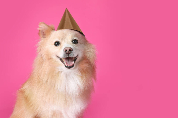 Cute dog with party hat on pink background, space for text. Birthday celebration - Valokuva, kuva