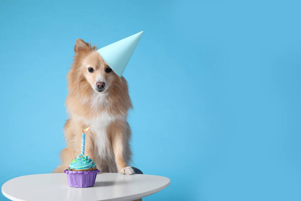 Cute dog wearing party hat at table with delicious birthday cupcake on light blue background. Space for text - Zdjęcie, obraz