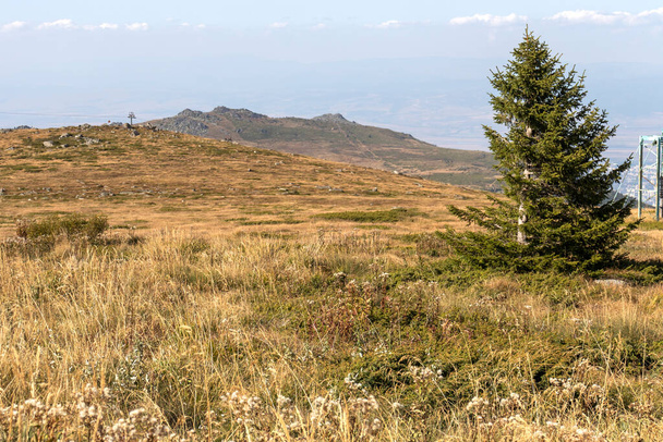 Дивовижний пейзаж осінньої гори Вітоша, Софійський міський район, Болгарія - Фото, зображення