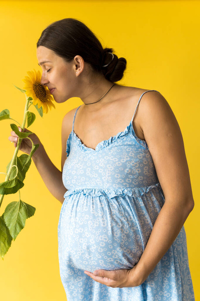 vertical portrait pregnant unrecognizable woman in floral blue dress hold and sniffs big fresh live sunflower flower rubs belly on yellow background. Motherhood, femininity, hot summer, nature concept - Foto, imagen