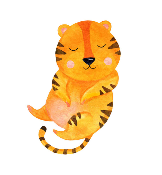 A cute watercolor tiger lies and smiles with closed eyes. - Foto, Imagen