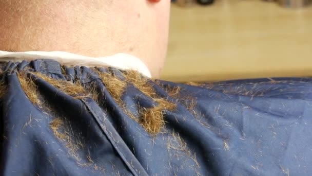 Kobieta fryzjer goli się elektryczną maszynką do golenia do rudego mężczyzny klienta w profesjonalnym salonie fryzjerskim - Materiał filmowy, wideo