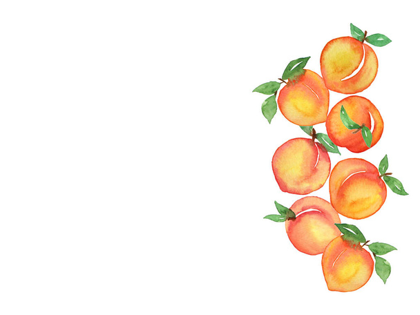 Watercolor fruit peach isolated on white background - Foto, Bild