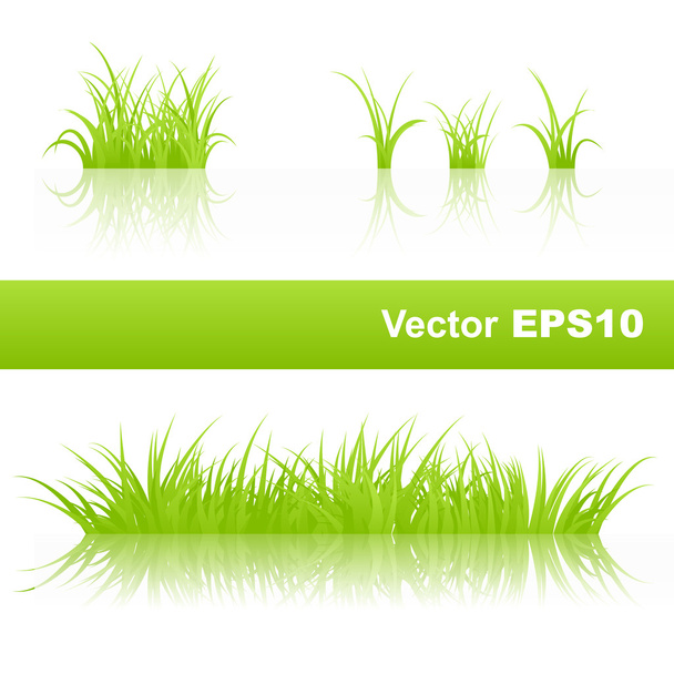 Green grass - Vektor, kép