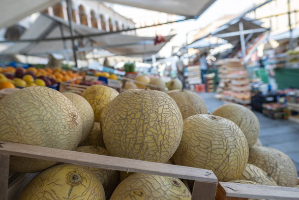 Italienische Smooth Skin Melon auf Street Food Markt in Padua - Foto, Bild