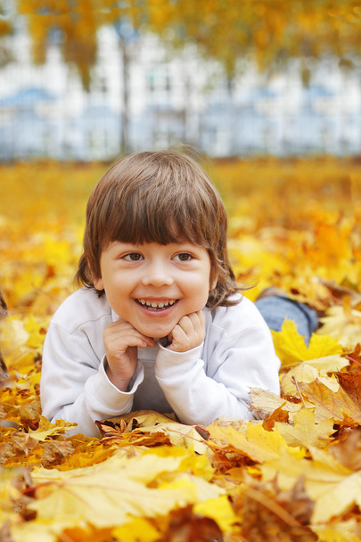 happy boy in leaves of autumn lies - Foto, immagini