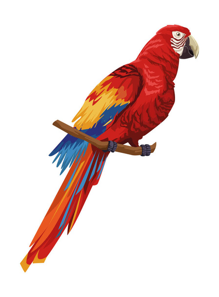 птах значок ара
 - Вектор, зображення