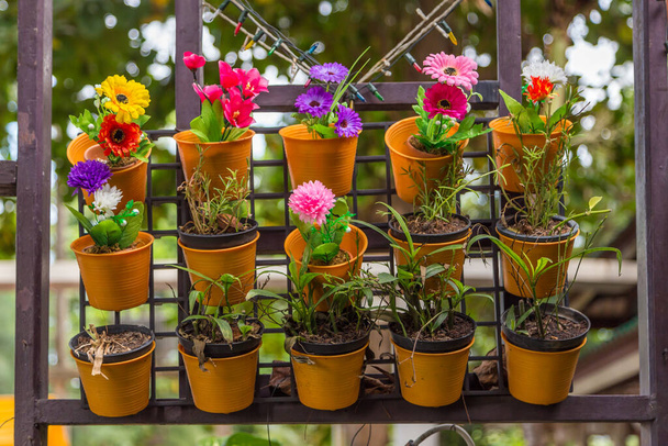 colorful flowers in wall flower pots. - Photo, Image