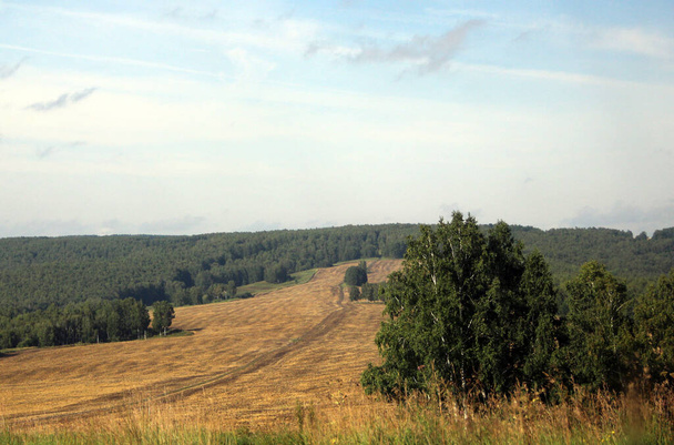 Брудна дорога проходить через коричневе поле і втрачається в зеленому кольорі дерев. Осінній пейзаж
. - Фото, зображення