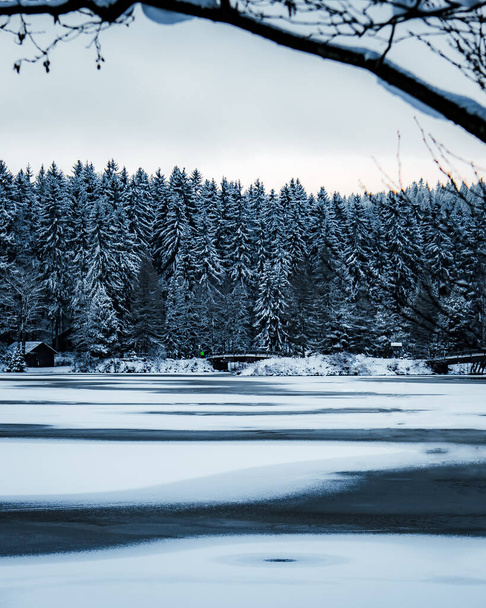 A vertical shot of a beautiful snowy meadow with forests in the distance - 写真・画像