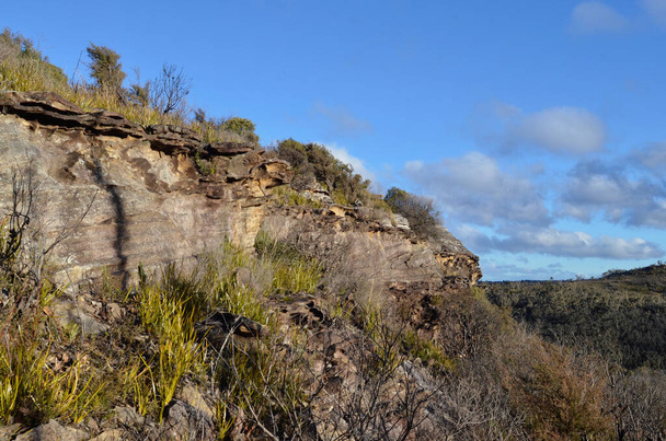 A view by the Lockleys Pylon Walking Trail near Leura in the Blue Mountains of Australia - Foto, Bild