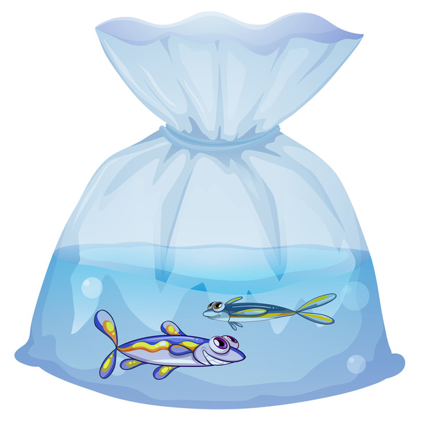Una bolsa de plástico con dos peces
 - Vector, imagen