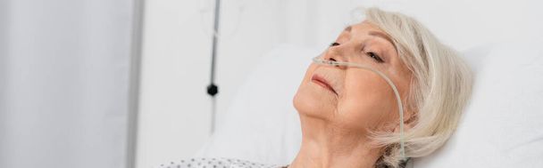 鼻カヌラを持つシニア女性は、病院でベッドの上に横たわっています,バナー  - 写真・画像