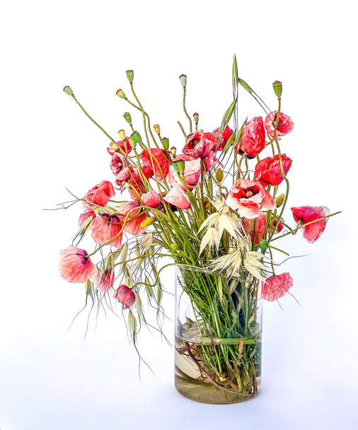 Bouquet de fleurs sauvages mélangées, herbes et coquelicots, dans un vase en verre. - Photo, image