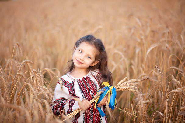 Un bouquet d'épillets de blé attachés avec un ruban jaune et bleu dans les mains d'une fille en chemise brodée. Gros plan sur les épis de maïs. Jour de l'indépendance de l'ukraine, drapeau constitutionnel - Photo, image
