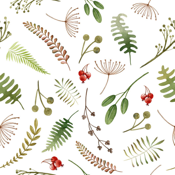 Wild forest herbs, flowers seamless pattern. Watercolor element. Hand drawn wild organic herbs, fern, red berries. Seamless pattern for fabric, paper and tixtile printing. White background - Foto, afbeelding