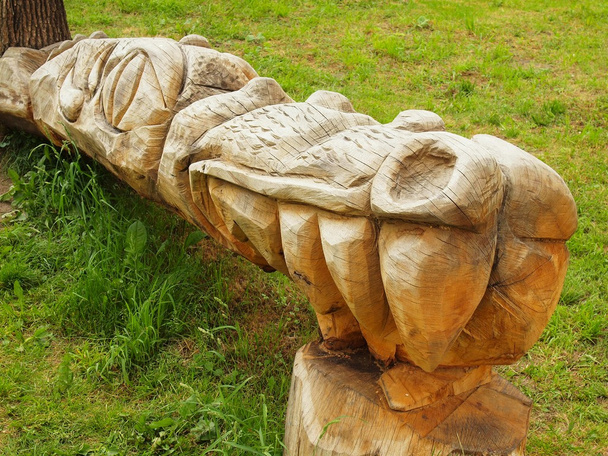 detail van houten sculptuur draak de kop in de Speeltuin, houtsnijden openbare kunst - Foto, afbeelding