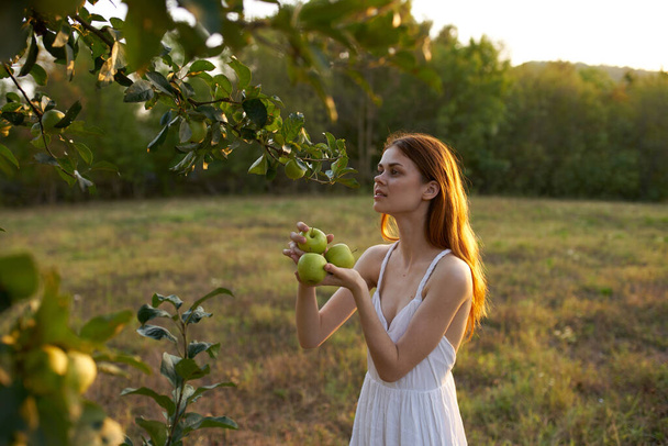 Жінка в білій сукні на природі з яблуками
 - Фото, зображення