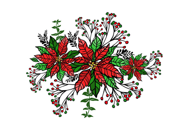 Poinsettia. Flor estrella de Navidad. Ilustración vectorial - Vector, imagen