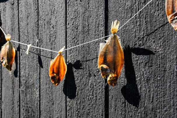 Enkhuizen, Niederlande - 2. September 2020. Traditioneller Trockenfisch an einer Schnur mit schwarzem Teerholz im Freilichtmuseum in Enkhuizen, Niederlande - Foto, Bild