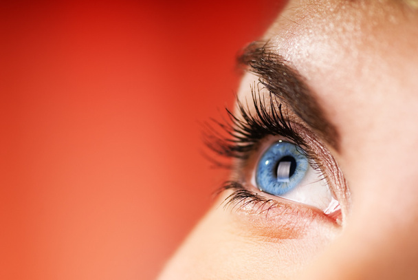 Niebieski oko na czerwonym tle (płytkie Dof) - Zdjęcie, obraz