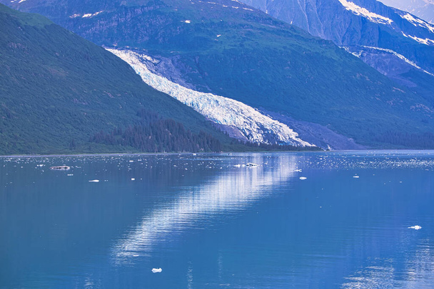 Льодовик впадає в озеро, яке має шматочки льоду на поверхні. насолоджується виглядом на шельфовий льодовик з круїзного корабля. Аласка, уса. на 2018 рік. - Фото, зображення