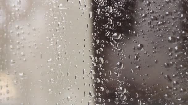 Regendruppels op glas. Raam op een regenachtige dag. Bevochtig het glas met grote druppels water of regen. - Video