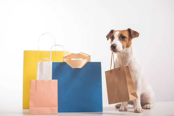 Dog jack russell terrier sitting next to different paper bags and holding a craft bag in its mouth on a white background. Sale season. - Φωτογραφία, εικόνα