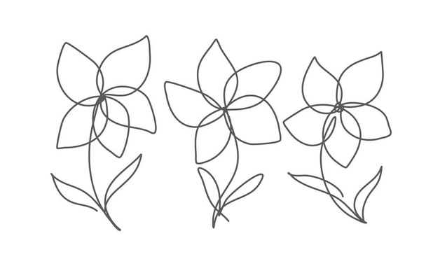 Plumeria flowers with editable stroke in continuous line art style isolated on white background. Tropical plant set. Vector illustration. - Διάνυσμα, εικόνα