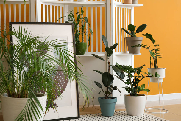 Сучасний складний екран і кімнатні рослини біля кольорової стіни
 - Фото, зображення