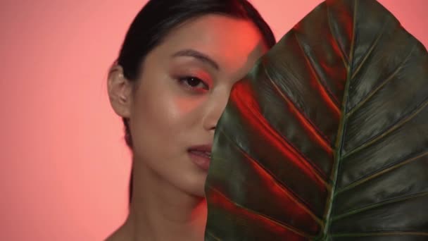 mooie aziatische vrouw poseren in de buurt van groene palm blad op roze - Video