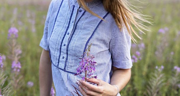 Young blond woman in purple shirt walking in meadow among flowers of fireweed and touching flower, beauty in nature landscape, female hand selective focus - Photo, Image