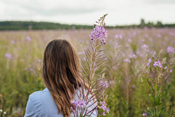 Young beautiful blond woman in purple shirt from behind walking in the meadow among flowers of fireweed, beauty in nature landscape selective focus - Photo, Image
