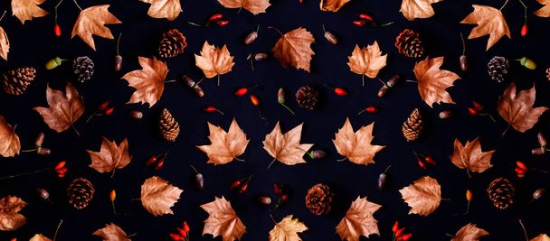 Autumn leaves with acorn and cones composition pattern on dark background from above. Maple leaf texture on black paper. Minimal thanksgiving and halloween seasonal design art. Flat lay. - Photo, image