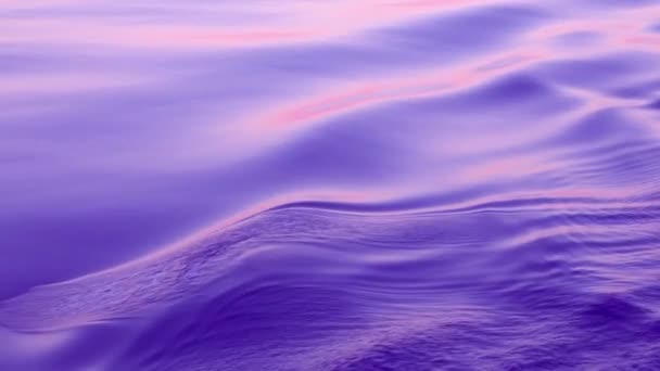 Violetti aaltoileva tausta. Merenpinta liikkuu sujuvasti ja muodostaa aaltoilun. Luonto on rauhallinen ja rauhallinen, syvän sininen pohjoinen Tyynimeri. Viety risteilyaluksella. - Materiaali, video