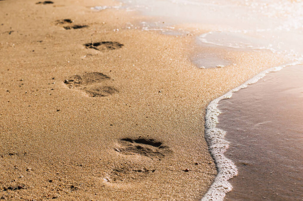 footprints o footsteps on the sand on the beach - Foto, Imagen