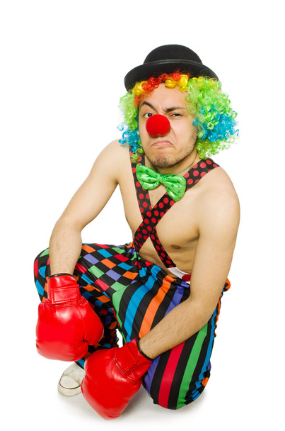 Clown avec gants de boxe
 - Photo, image