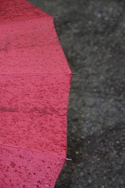 Duży czerwony parasol z kroplami wody po deszczu - Zdjęcie, obraz